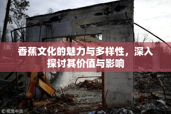 香蕉文化的魅力与多样性，深入探讨其价值与影响