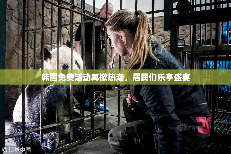 韩国免费活动再掀热潮，居民们乐享盛宴