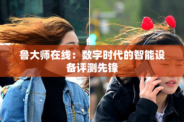 鲁大师在线：数字时代的智能设备评测先锋