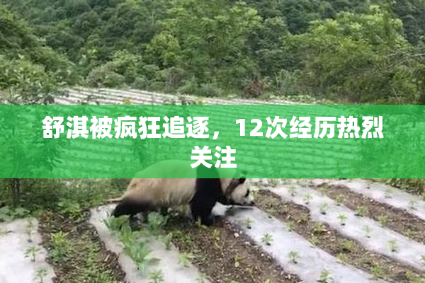 舒淇被疯狂追逐，12次经历热烈关注