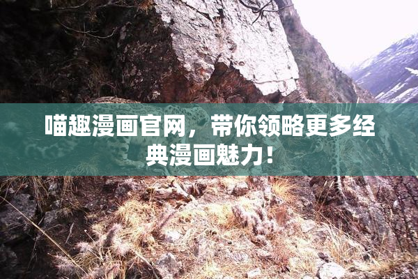 喵趣漫画官网，带你领略更多经典漫画魅力！