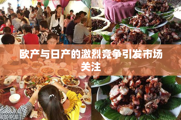 欧产与日产的激烈竞争引发市场关注