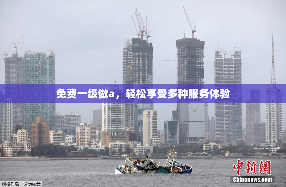 免费一级做a，轻松享受多种服务体验