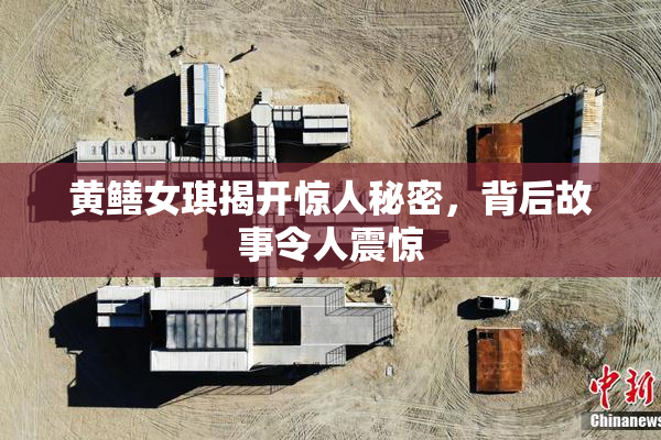 黄鳝女琪揭开惊人秘密，背后故事令人震惊