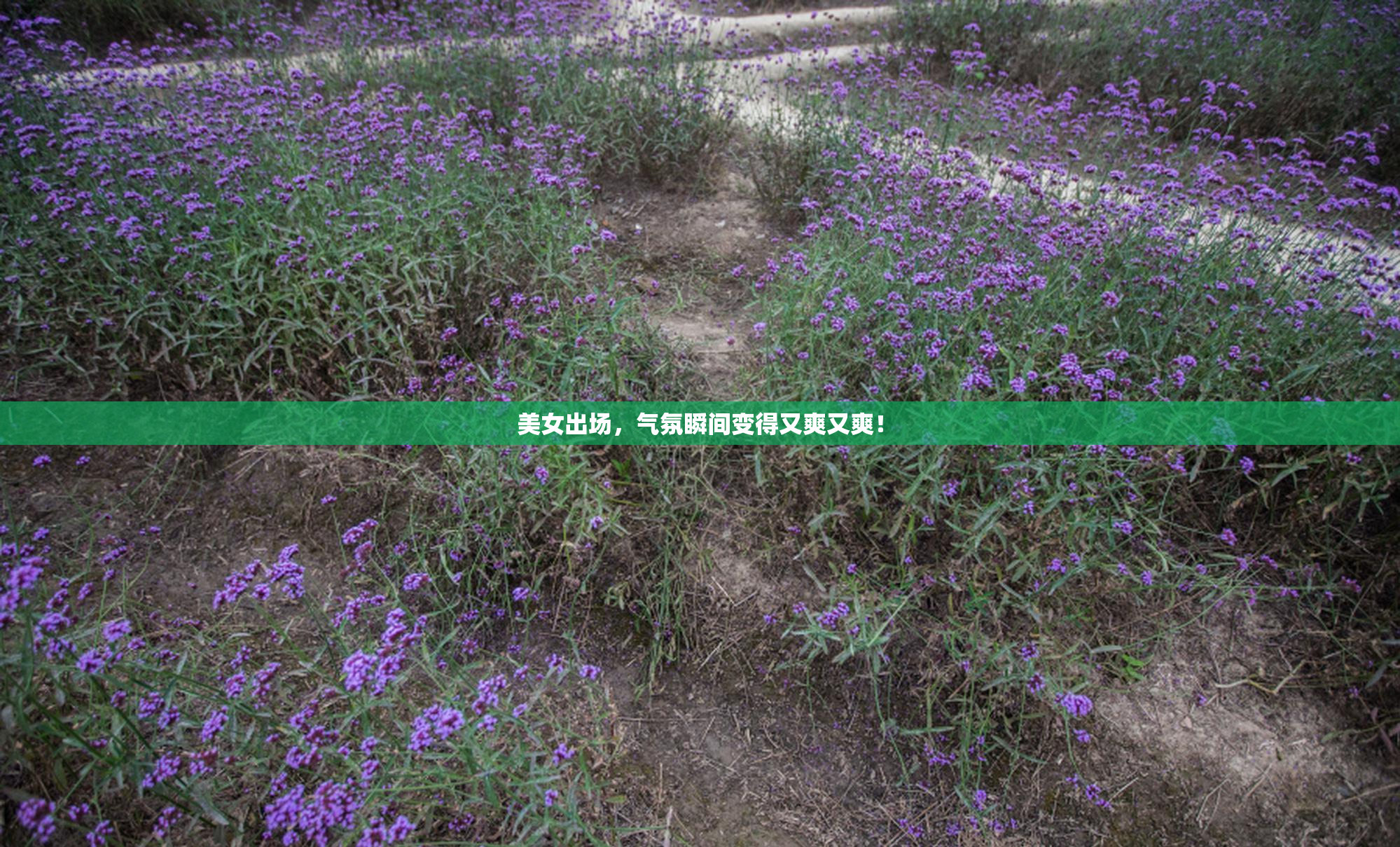 美女出场，气氛瞬间变得又爽又爽！