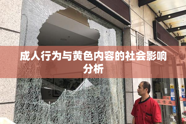 成人行为与黄色内容的社会影响分析