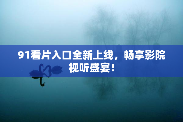 91看片入口全新上线，畅享影院视听盛宴！