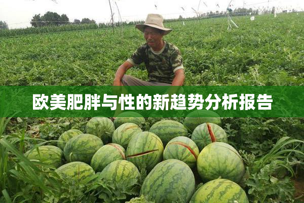 欧美肥胖与性的新趋势分析报告
