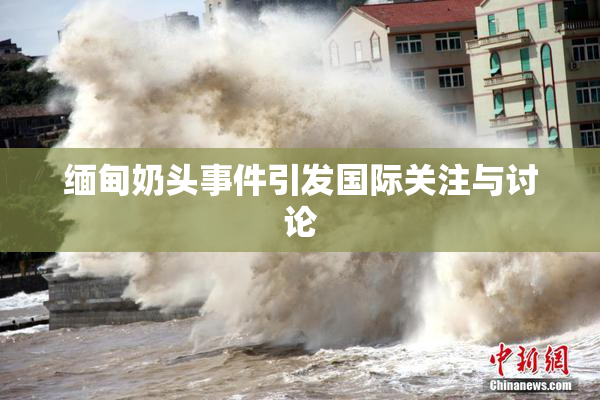 缅甸奶头事件引发国际关注与讨论