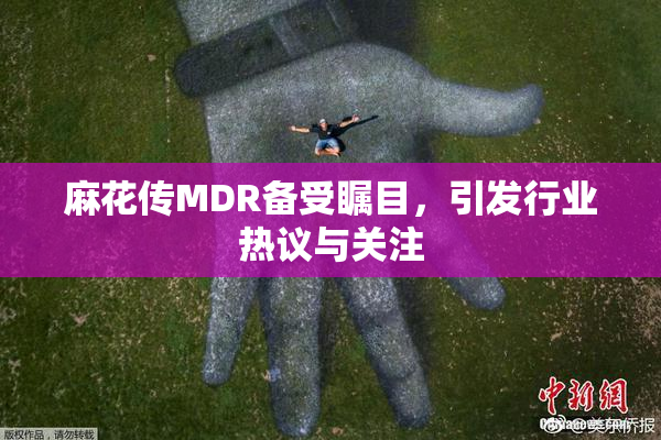 麻花传MDR备受瞩目，引发行业热议与关注