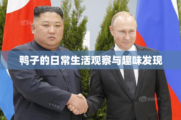 鸭子的日常生活观察与趣味发现