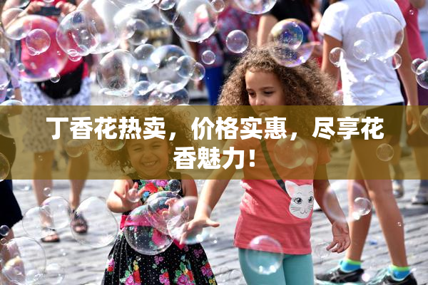 丁香花热卖，价格实惠，尽享花香魅力！