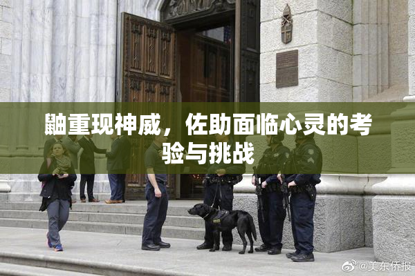 鼬重现神威，佐助面临心灵的考验与挑战