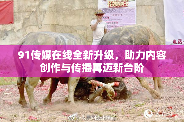 91传媒在线全新升级，助力内容创作与传播再迈新台阶
