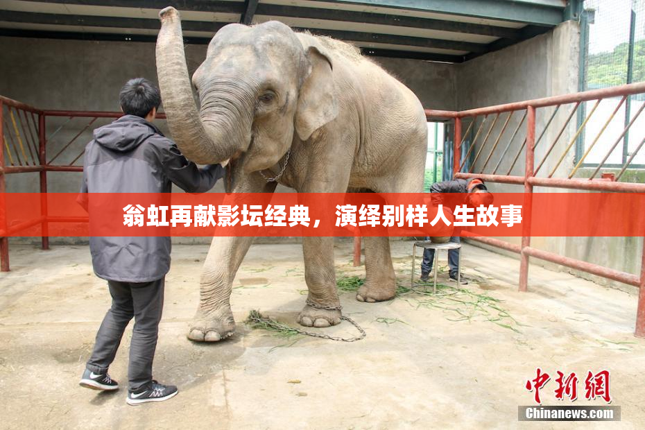 翁虹再献影坛经典，演绎别样人生故事
