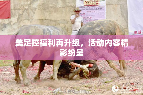 美足控福利再升级，活动内容精彩纷呈