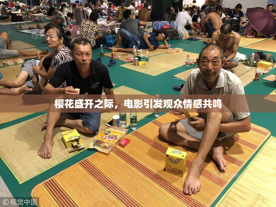 樱花盛开之际，电影引发观众情感共鸣