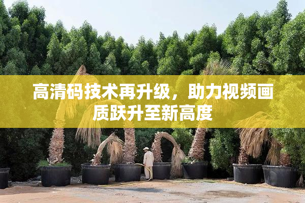 高清码技术再升级，助力视频画质跃升至新高度