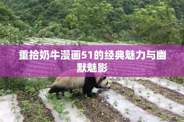 重拾奶牛漫画51的经典魅力与幽默魅影