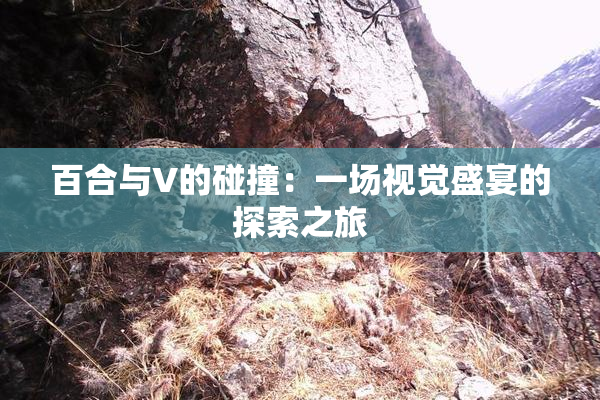 百合与V的碰撞：一场视觉盛宴的探索之旅