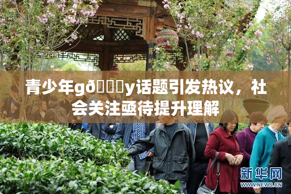 青少年g🈚y话题引发热议，社会关注亟待提升理解