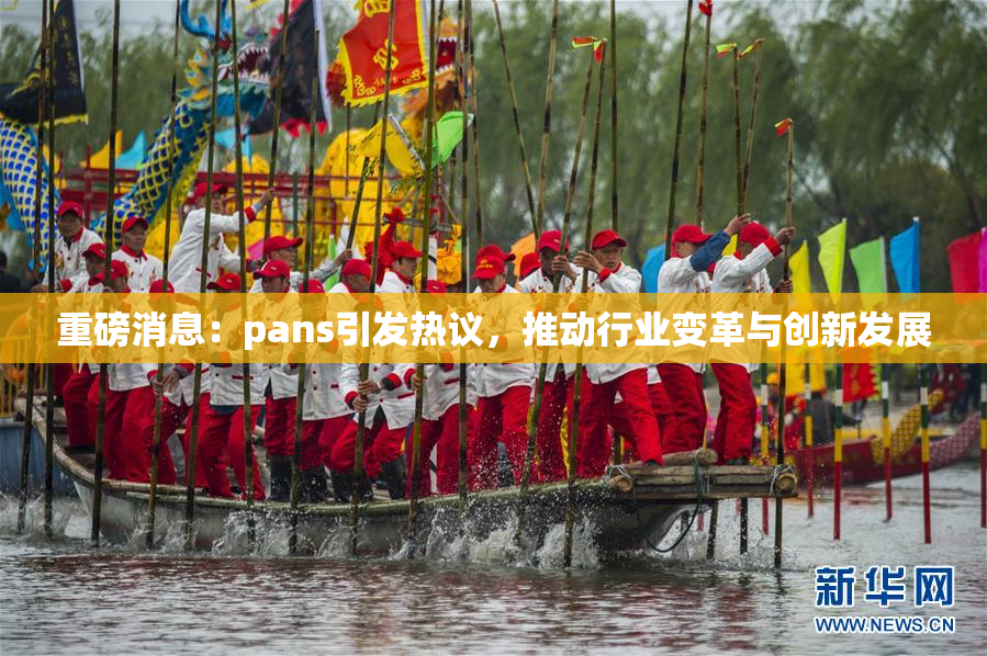 重磅消息：pans引发热议，推动行业变革与创新发展