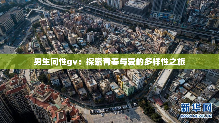 男生同性gv：探索青春与爱的多样性之旅