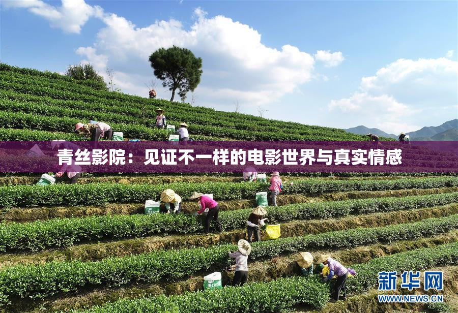 青丝影院：见证不一样的电影世界与真实情感