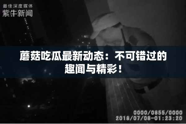蘑菇吃瓜最新动态：不可错过的趣闻与精彩！