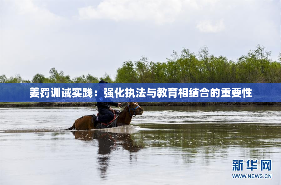 姜罚训诫实践：强化执法与教育相结合的重要性