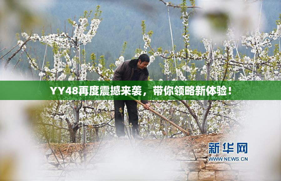 YY48再度震撼来袭，带你领略新体验！