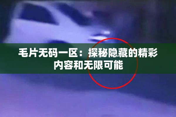 毛片无码一区：探秘隐藏的精彩内容和无限可能