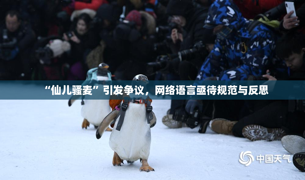 “仙儿骚麦”引发争议，网络语言亟待规范与反思