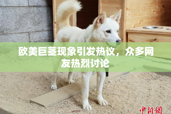 欧美巨茎现象引发热议，众多网友热烈讨论
