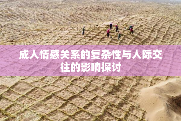 成人情感关系的复杂性与人际交往的影响探讨