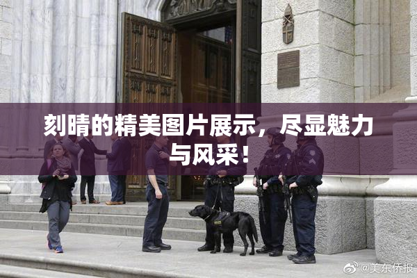刻晴的精美图片展示，尽显魅力与风采！