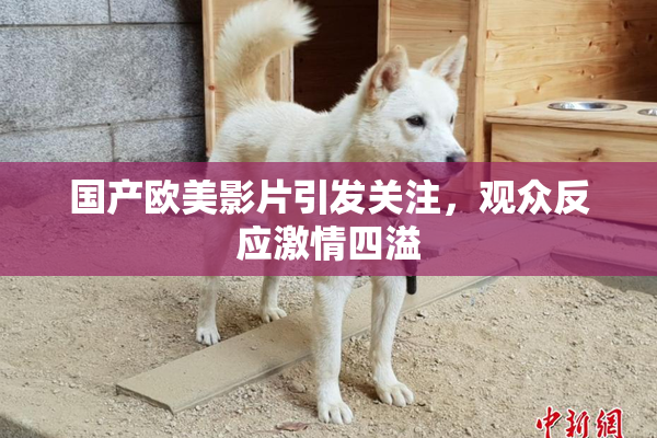 国产欧美影片引发关注，观众反应激情四溢