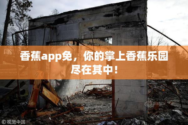 香蕉app免，你的掌上香蕉乐园尽在其中！