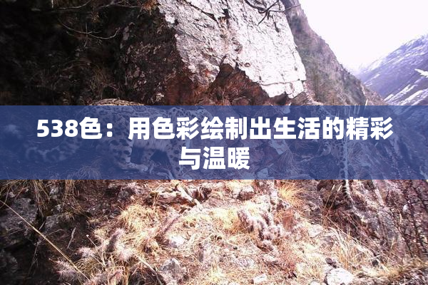 538色：用色彩绘制出生活的精彩与温暖