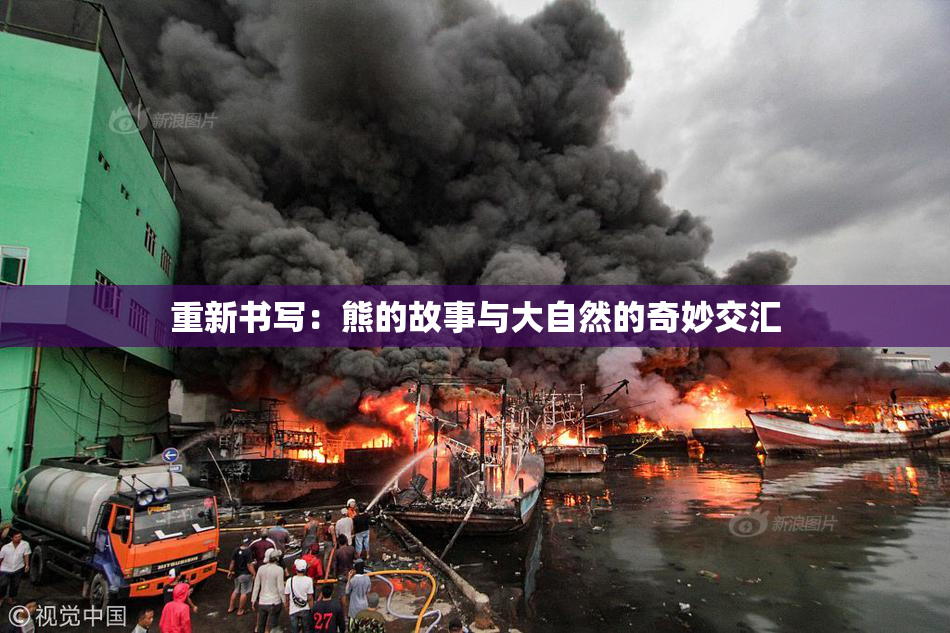 重新书写：熊的故事与大自然的奇妙交汇