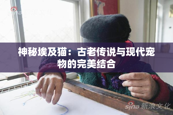 神秘埃及猫：古老传说与现代宠物的完美结合