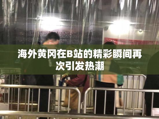 海外黄冈在B站的精彩瞬间再次引发热潮