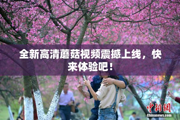 全新高清蘑菇视频震撼上线，快来体验吧！