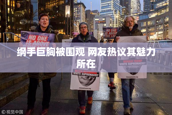 纲手巨胸被围观 网友热议其魅力所在