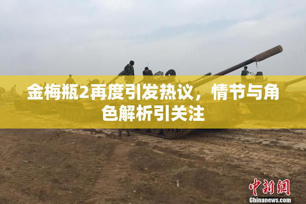 金梅瓶2再度引发热议，情节与角色解析引关注