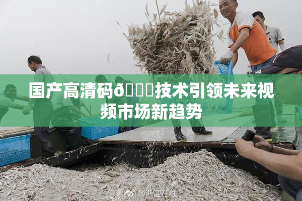 国产高清码🔞技术引领未来视频市场新趋势