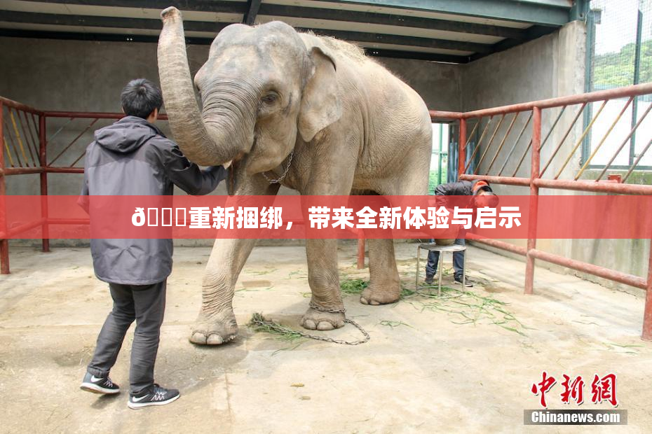 🔞重新捆绑，带来全新体验与启示