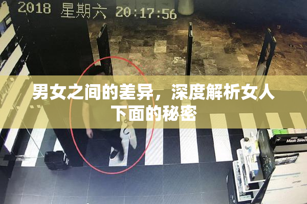 男女之间的差异，深度解析女人下面的秘密
