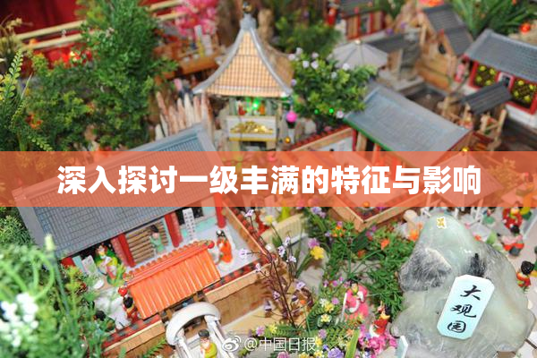 深入探讨一级丰满的特征与影响