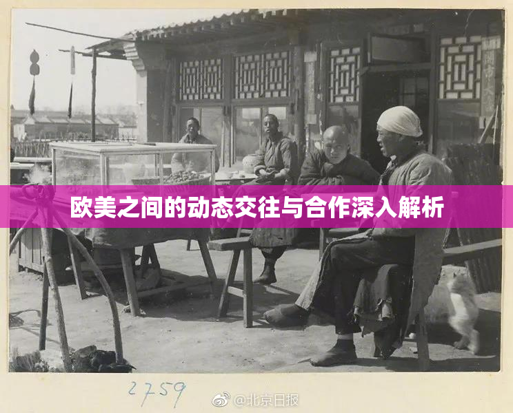 欧美之间的动态交往与合作深入解析